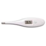 Baby Health & safety essentials Dreambaby Clinical Digital Thermometer Pitter Patter Baby NI 2