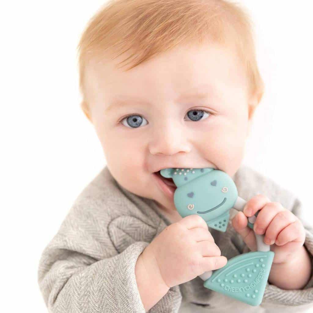 Teething Chewy the Hippo Teether Pitter Patter Baby NI 7